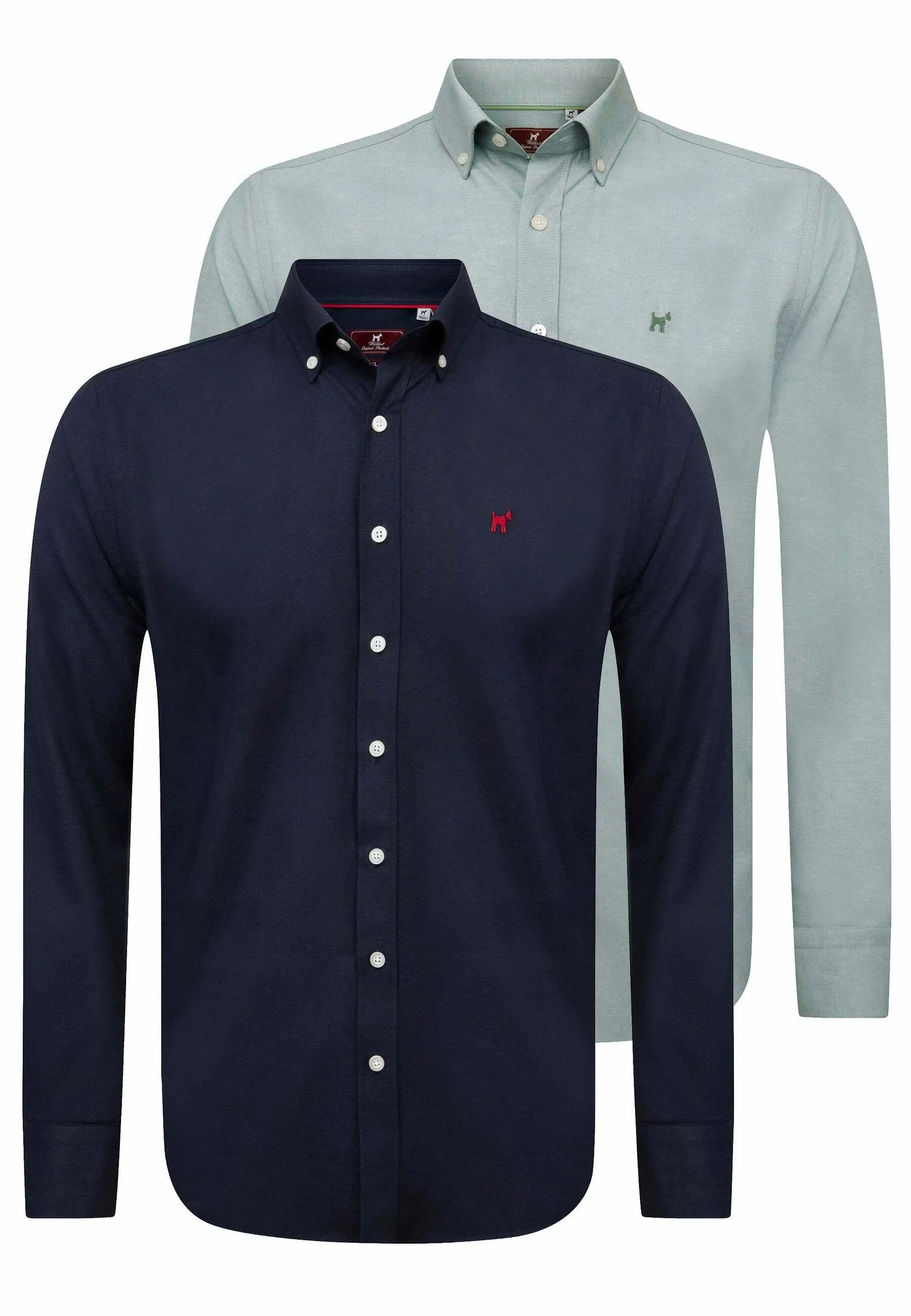 PACK OF 2 - REGULAR FIT OXFORD - Camicia
