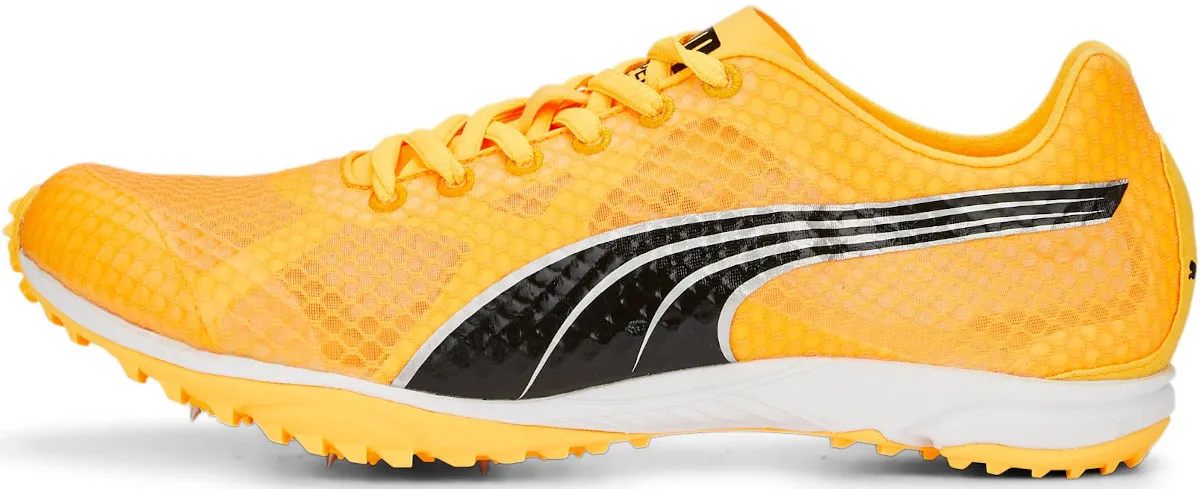 Scarpe da atletica Puma evoSPEED Haraka 7