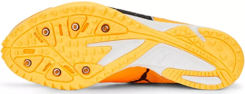 Scarpe da atletica Puma evoSPEED Haraka 7